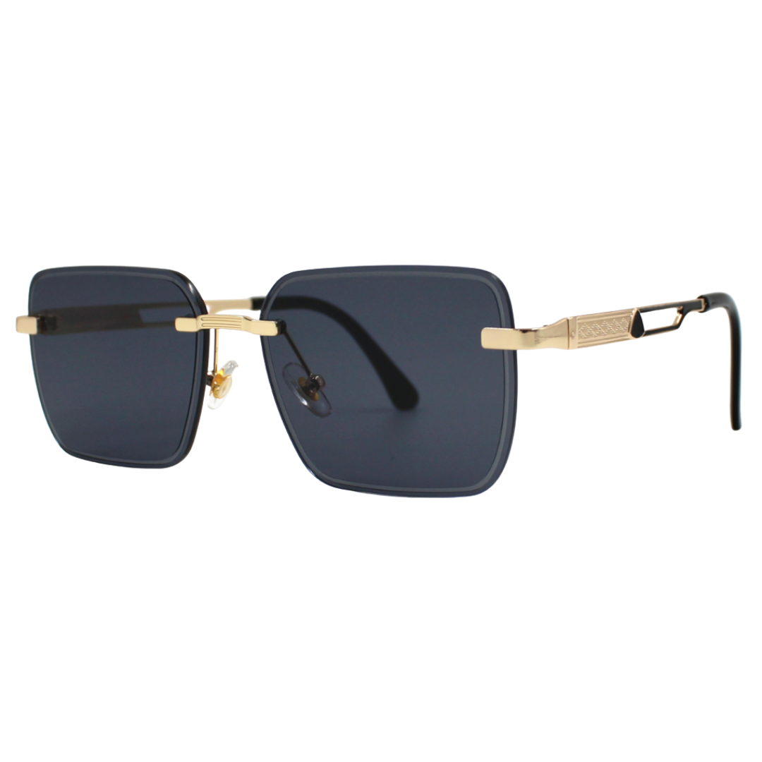 Men’s Sunglasses — Monaco