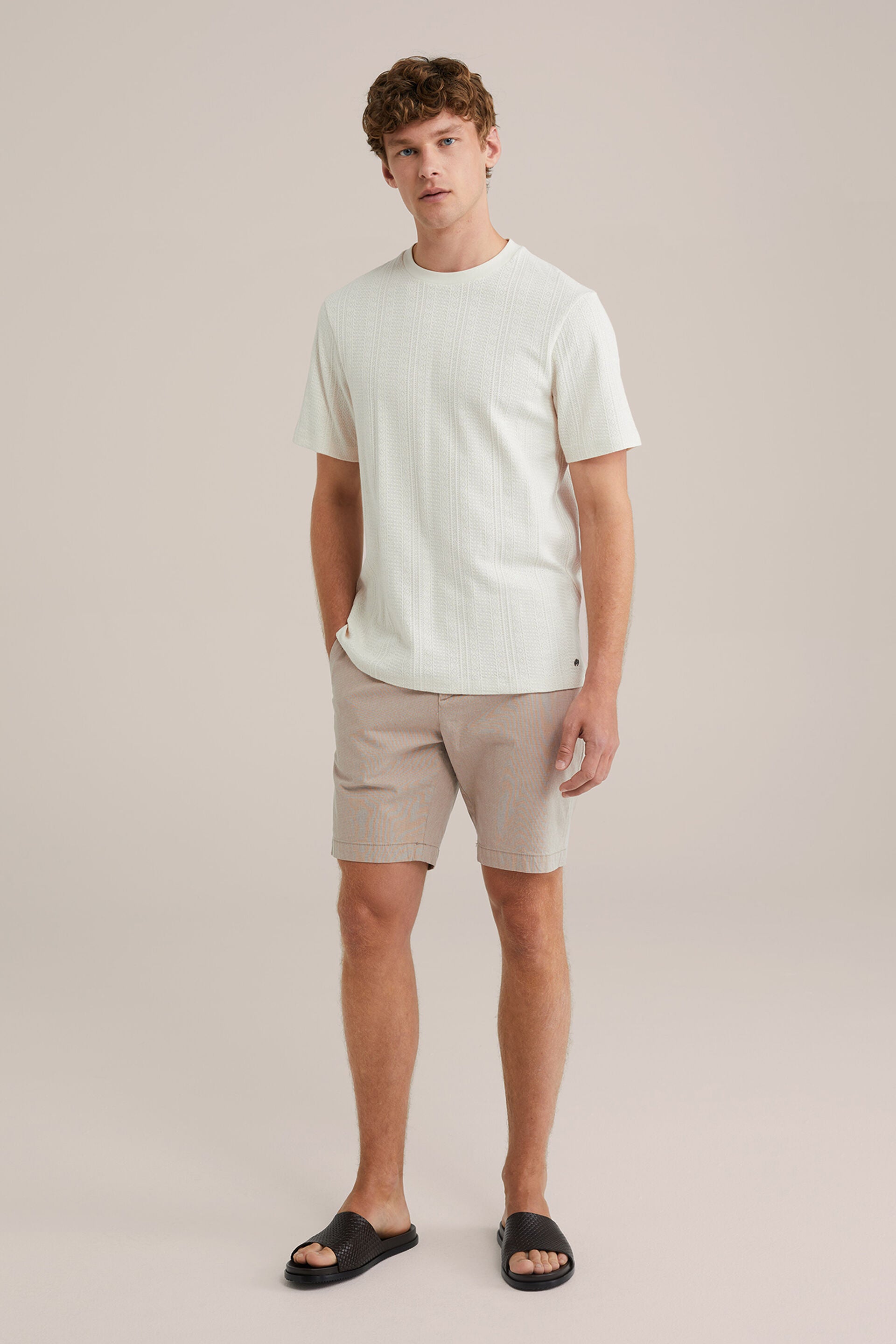Men's Regular Fit Textured Chino Shorts