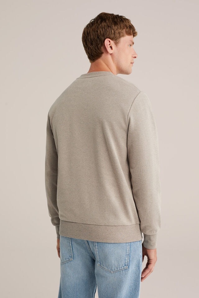 Men’s Regular Fit Cotton Blend Crew Neck Jumper